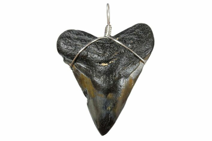 Fossil Megalodon Tooth Necklace #173869
